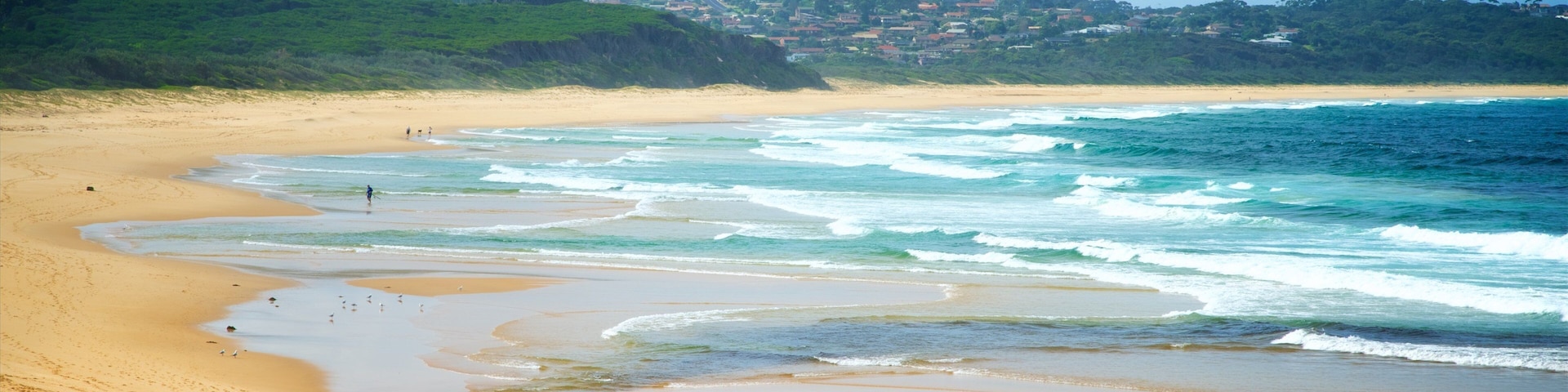 A sandy beach with waves, a few people, and houses in the background.