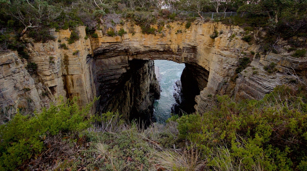 Den tasmanske halvø og byder på en kløft eller slugt, huler og barsk kystlinje