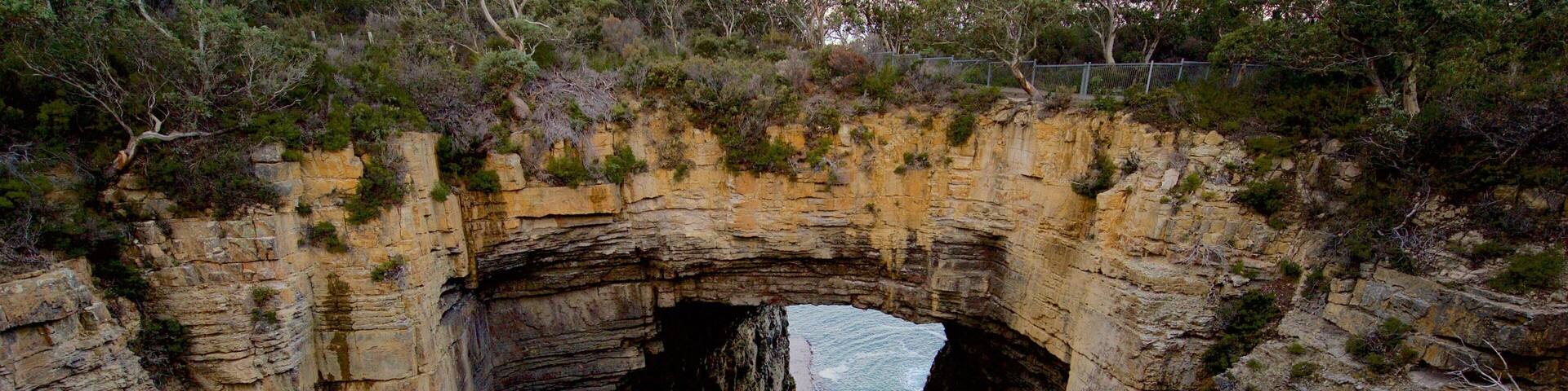 A natural rock arch formation surrounded by greenery.