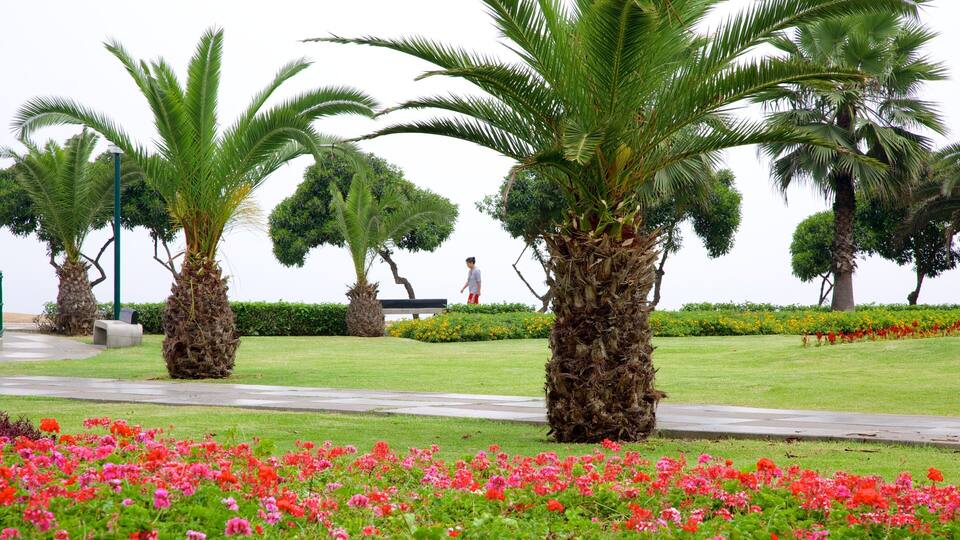 Ein Park mit Palmen, einem Weg und roten Blumen.