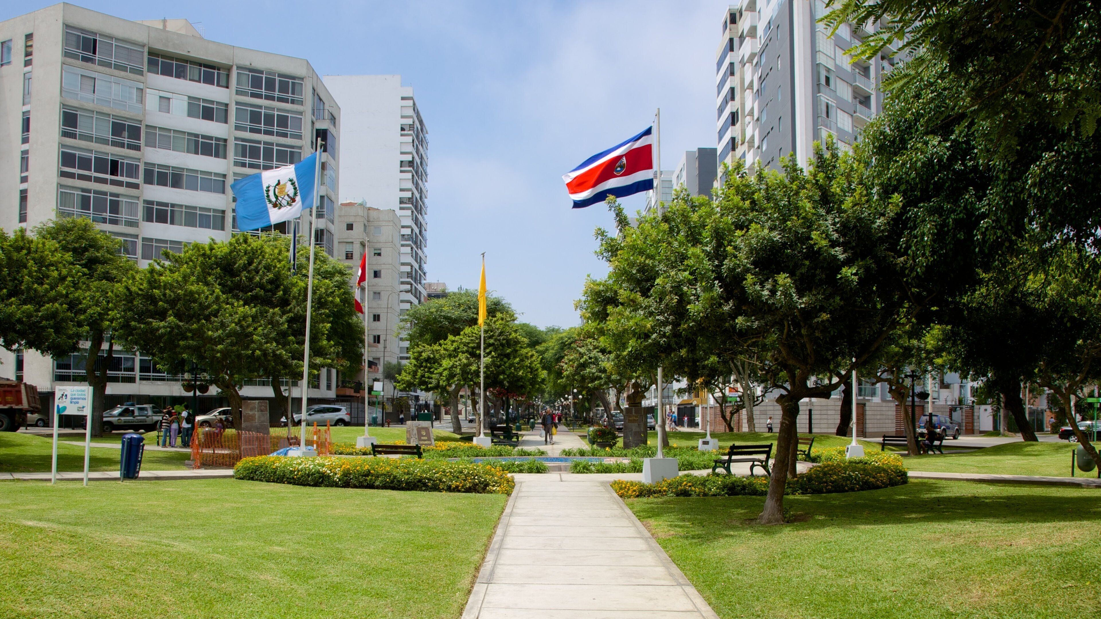 Lima caratteristiche di giardino