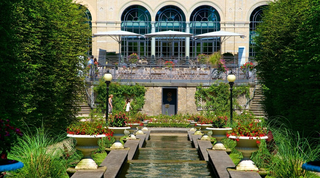 Cologne which includes a garden and flowers