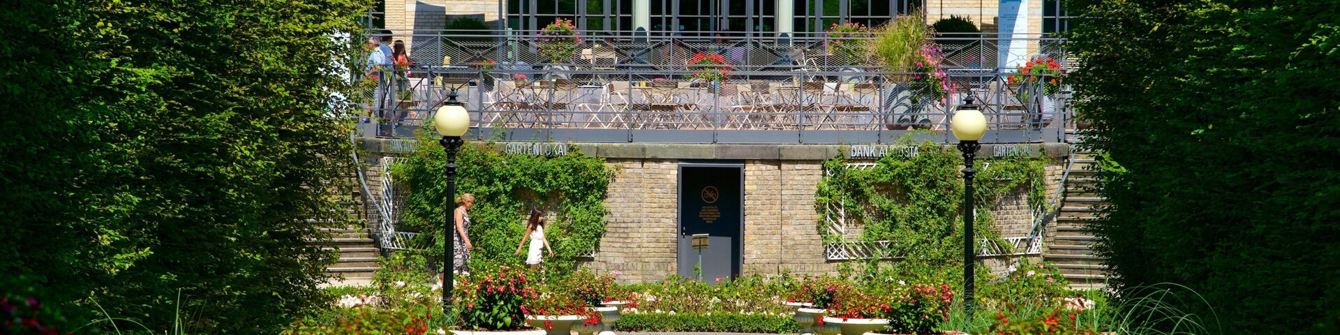 Cologne featuring flowers and a park