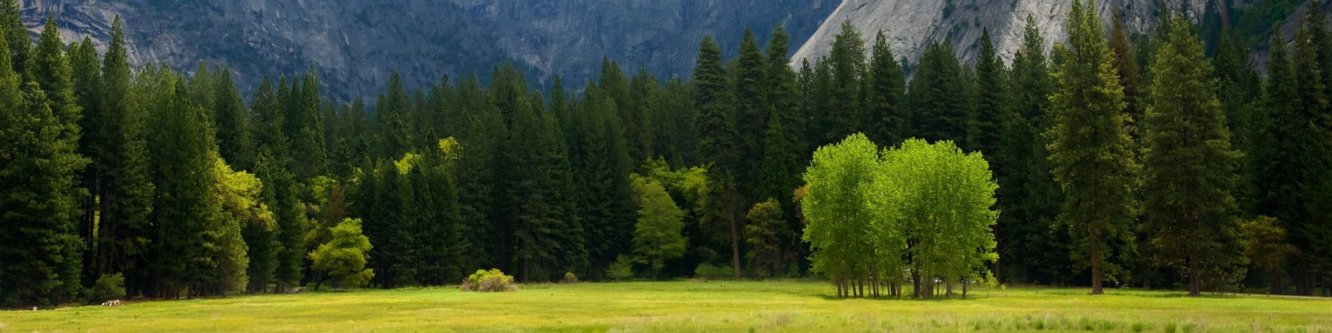Parque Nacional Yosemite ofreciendo escenas tranquilas, montañas y neblina o niebla