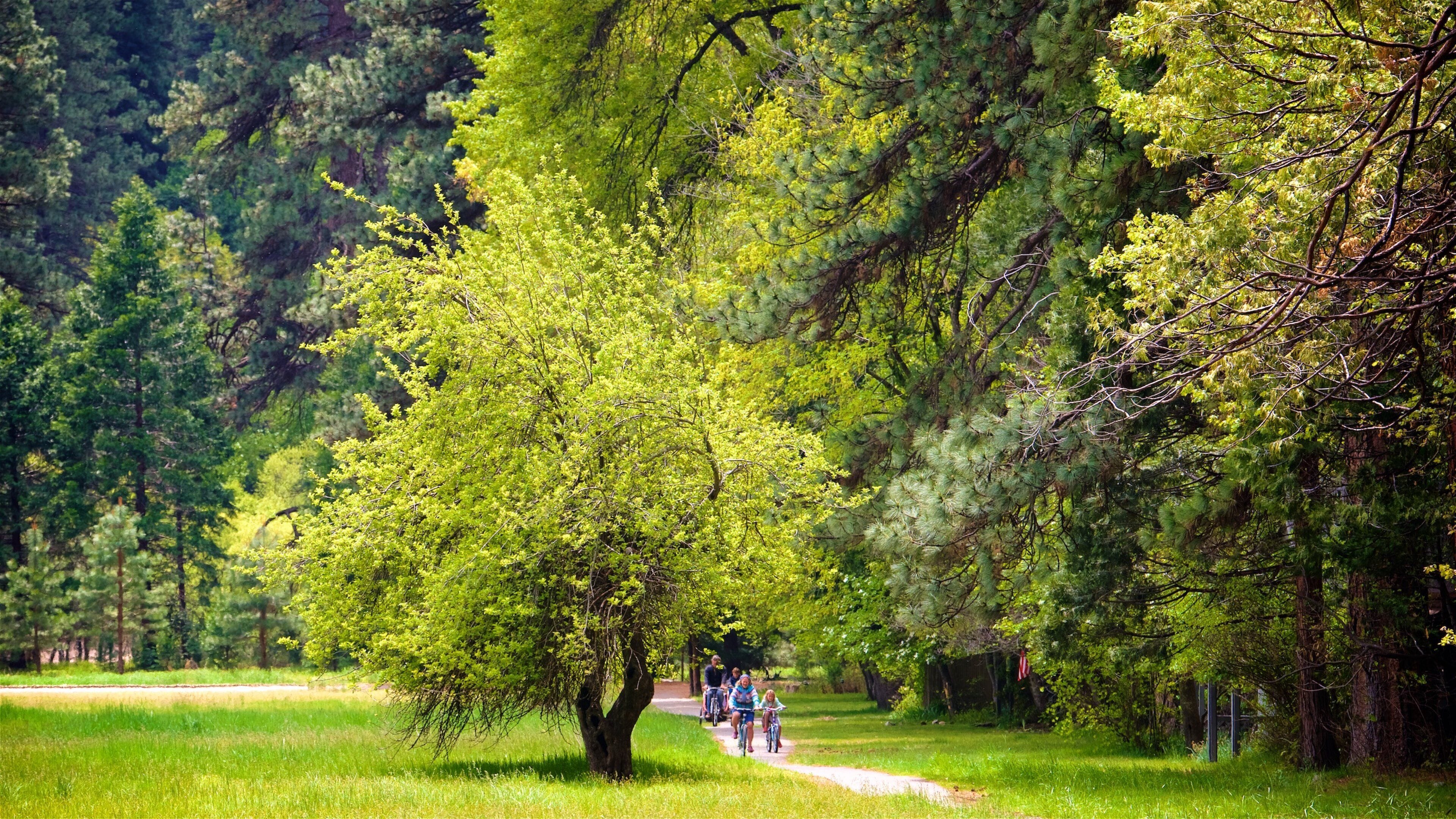 Ahwahnee Meadow which includes cycling and a garden as well as a family