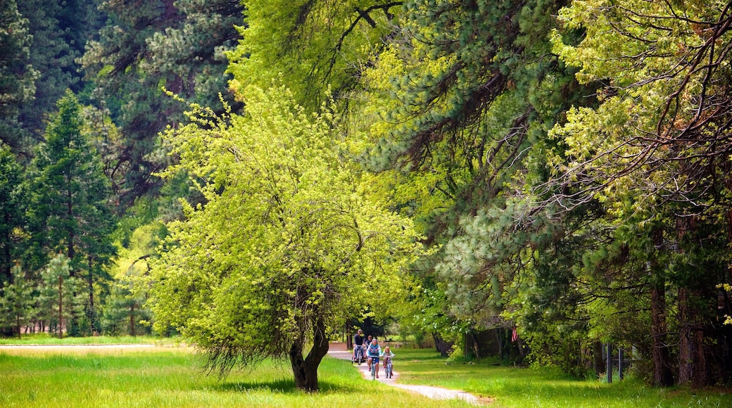 Ahwahnee Meadow which includes cycling and a garden as well as a family