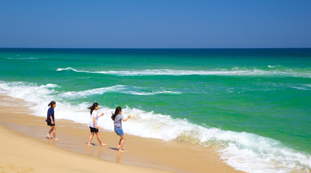 Gyeongpo Beach showing general coastal views and a beach as well as children