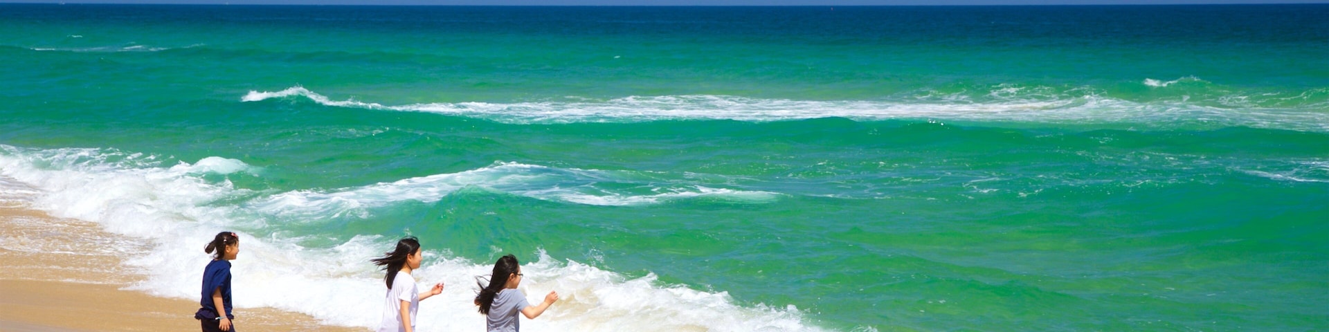 Gyeongpo Beach showing general coastal views and a beach as well as children