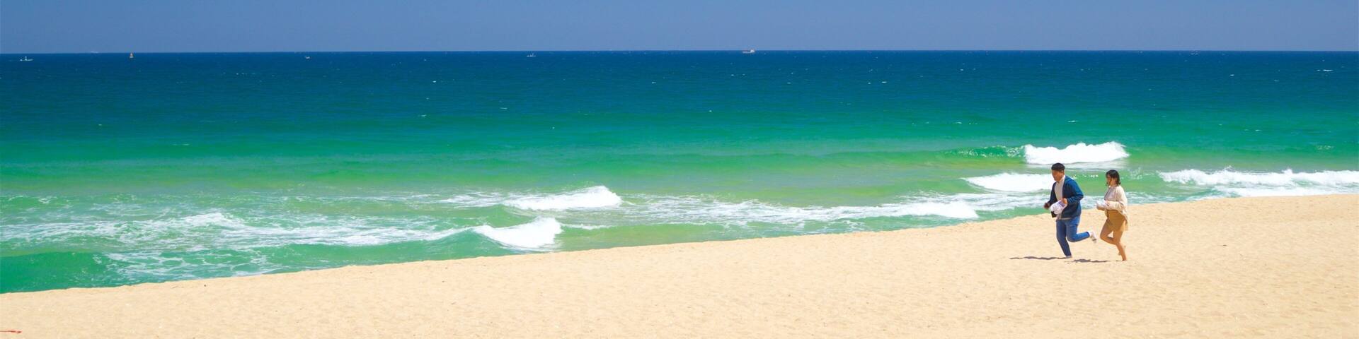 Gyeongpo Beach which includes a beach and general coastal views as well as a couple