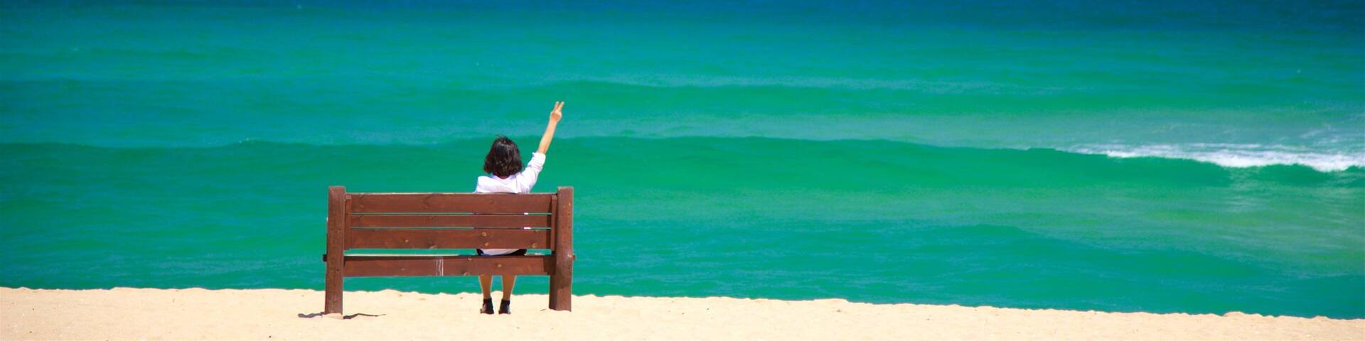 Gyeongpo Beach which includes landscape views, general coastal views and a sandy beach