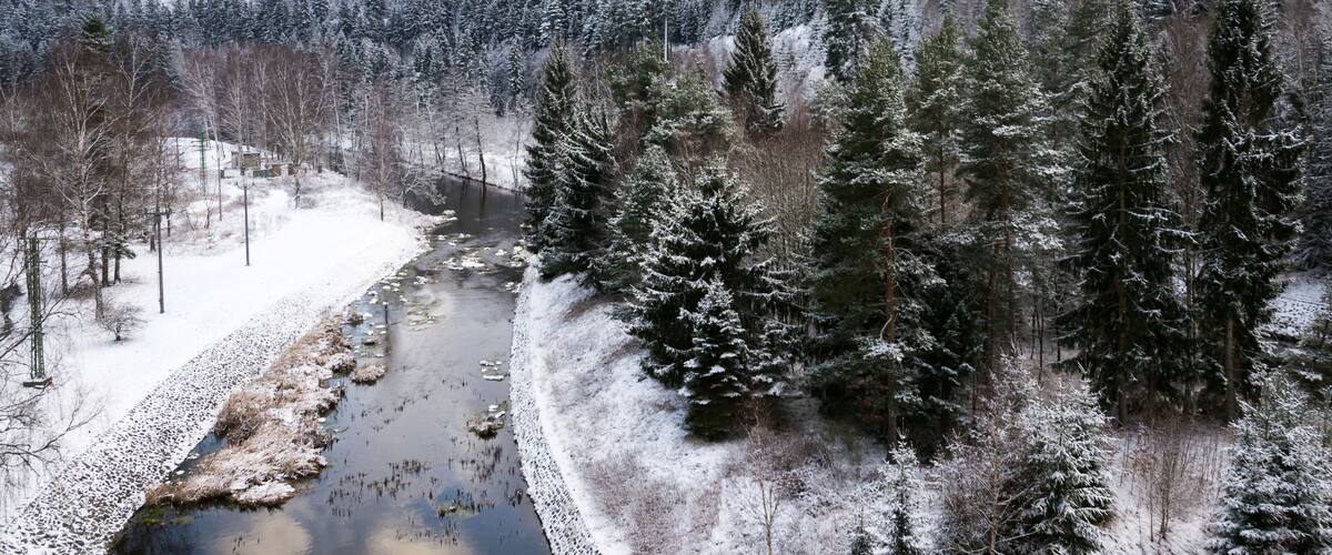 A snow-covered river valley with dense coniferous forests and a mountainous backdrop.