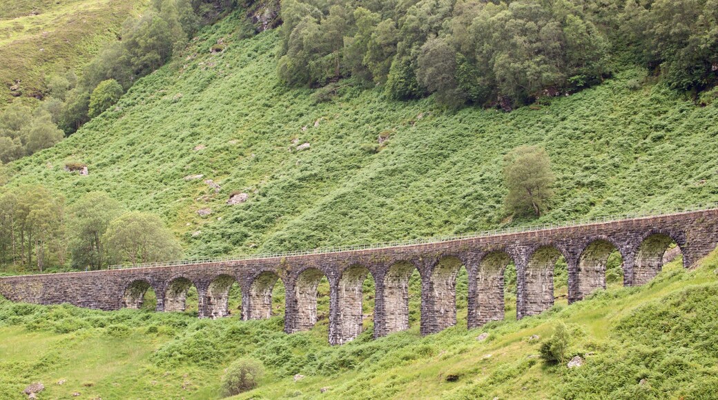 Lochearnhead presenterar åkrar, historiska element och en bro