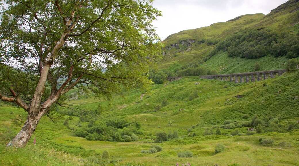 Lochearnhead som visar åkrar