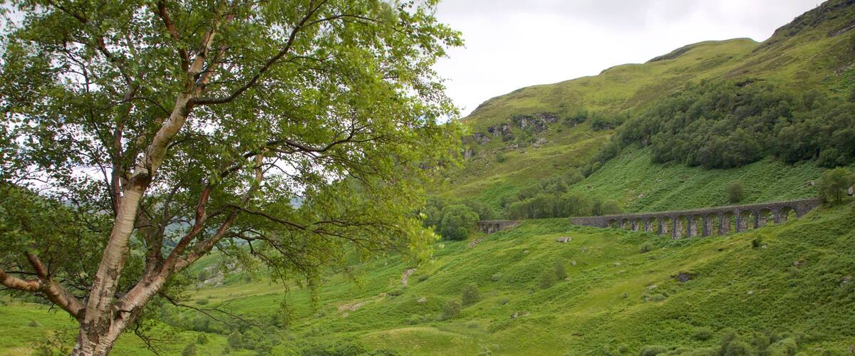 Lochearnhead showing farmland