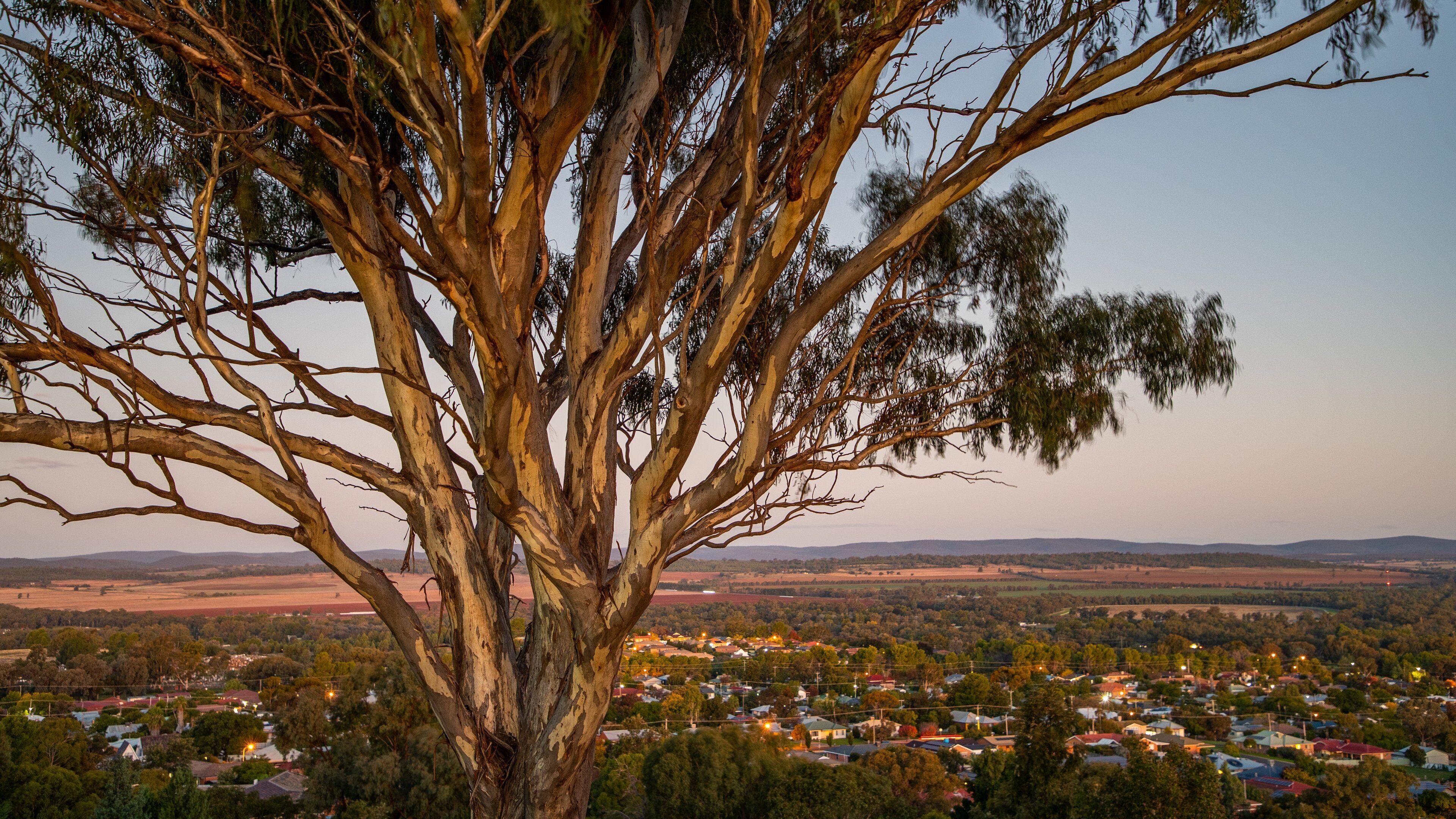 Memorial Hill Lookout which includes tranquil scenes, a sunset and landscape views