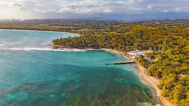Paisagem costeira com uma baía turquesa, um cais e uma área densamente arborizada.