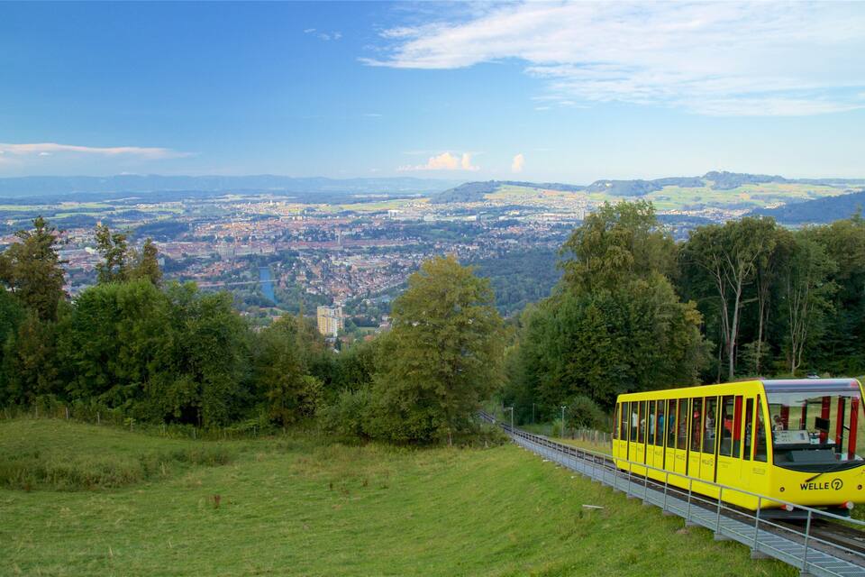 Un tren amarillo sobre una vía, rodeado de frondosos árboles y colinas verdes, con un paisaje urbano al fondo.