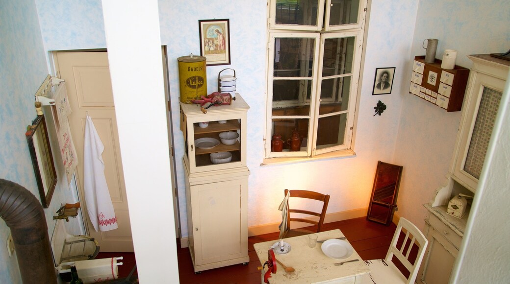 Mannheim som inkluderer hus, innendørs og kulturarv