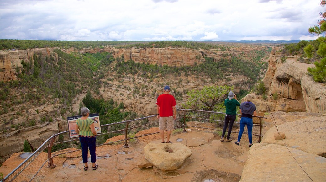 Cliff Canyon featuring views, landscape views and desert views
