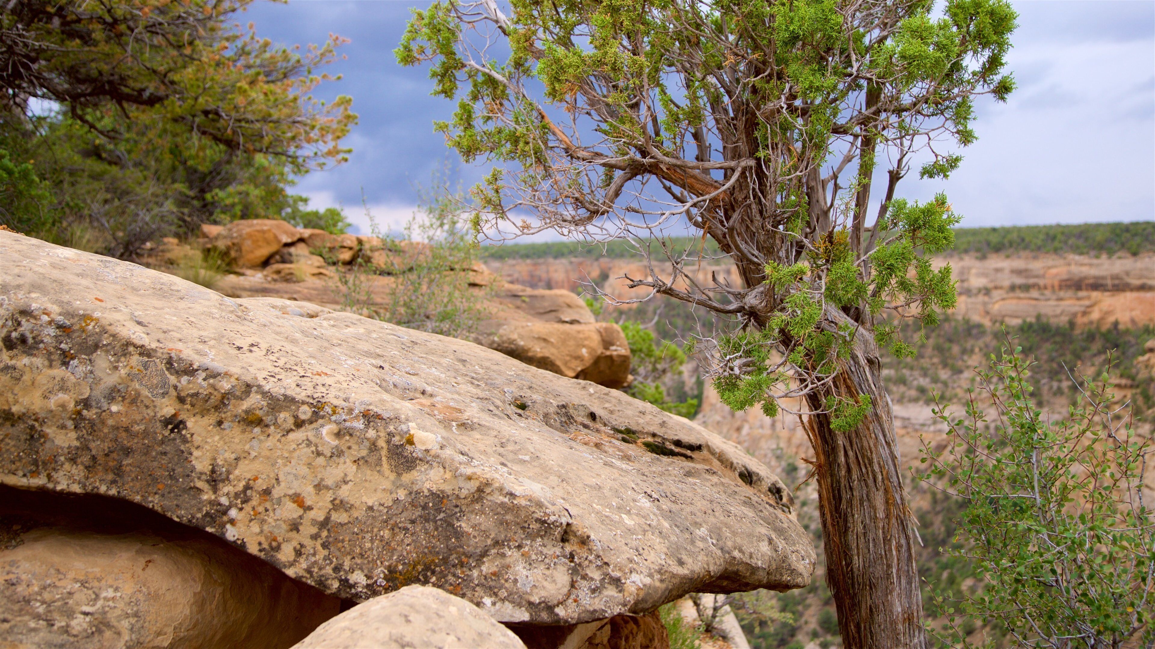 อุทยานแห่งชาติเมซาเวร์ดี แสดง ช่องเขาหรือหุบเขา