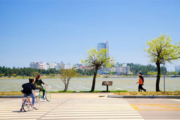 Pyeongchang which includes road cycling, a lake or waterhole and a city