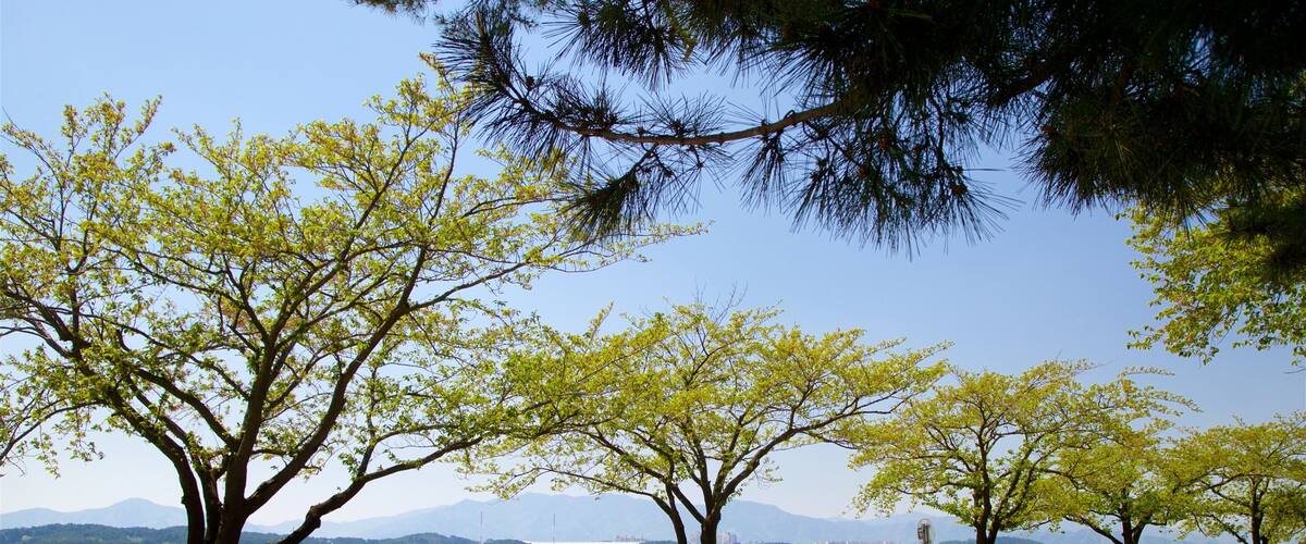 ํ์ฐฝ ์ ํน์ง ํธ์ ๋๋ ์