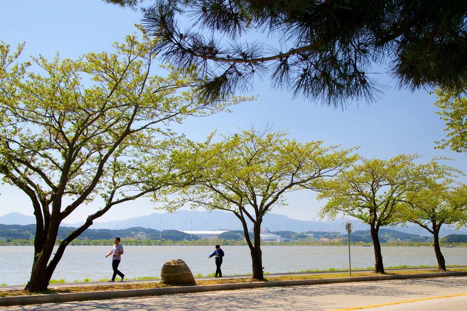 A lakeside walkway with trees and mountains in the background.