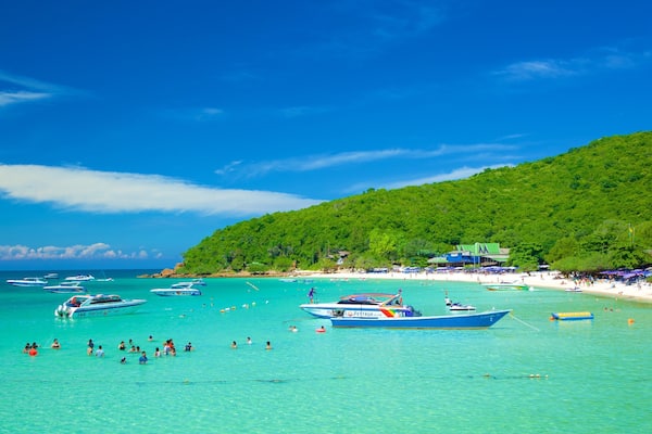 Koh Larn mettant en vedette navigation, baignade et vues littorales