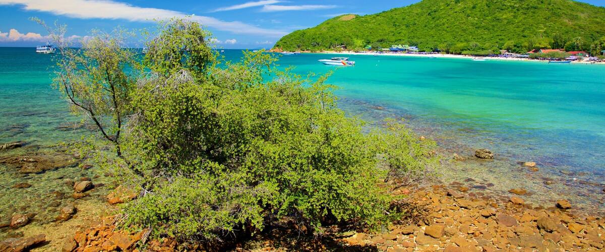 เกาะล้าน