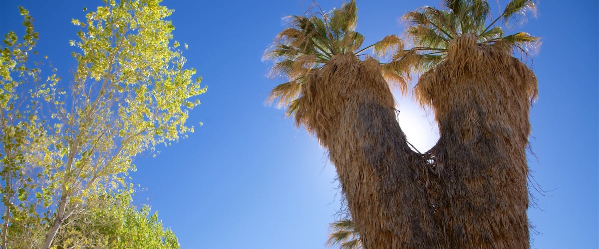 Riverside County