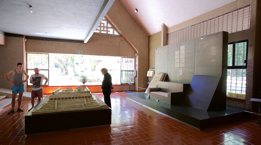 팔렝케 을 특징 실내 전경 뿐만 아니라 소규모 사람들