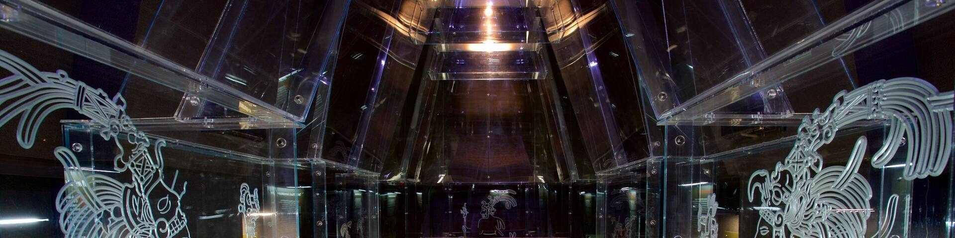 A sarcophagus with intricate carvings, displayed in a glass case with clear sides.