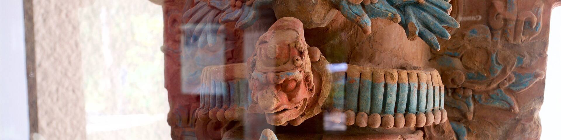 Palenque showing interior views and heritage elements