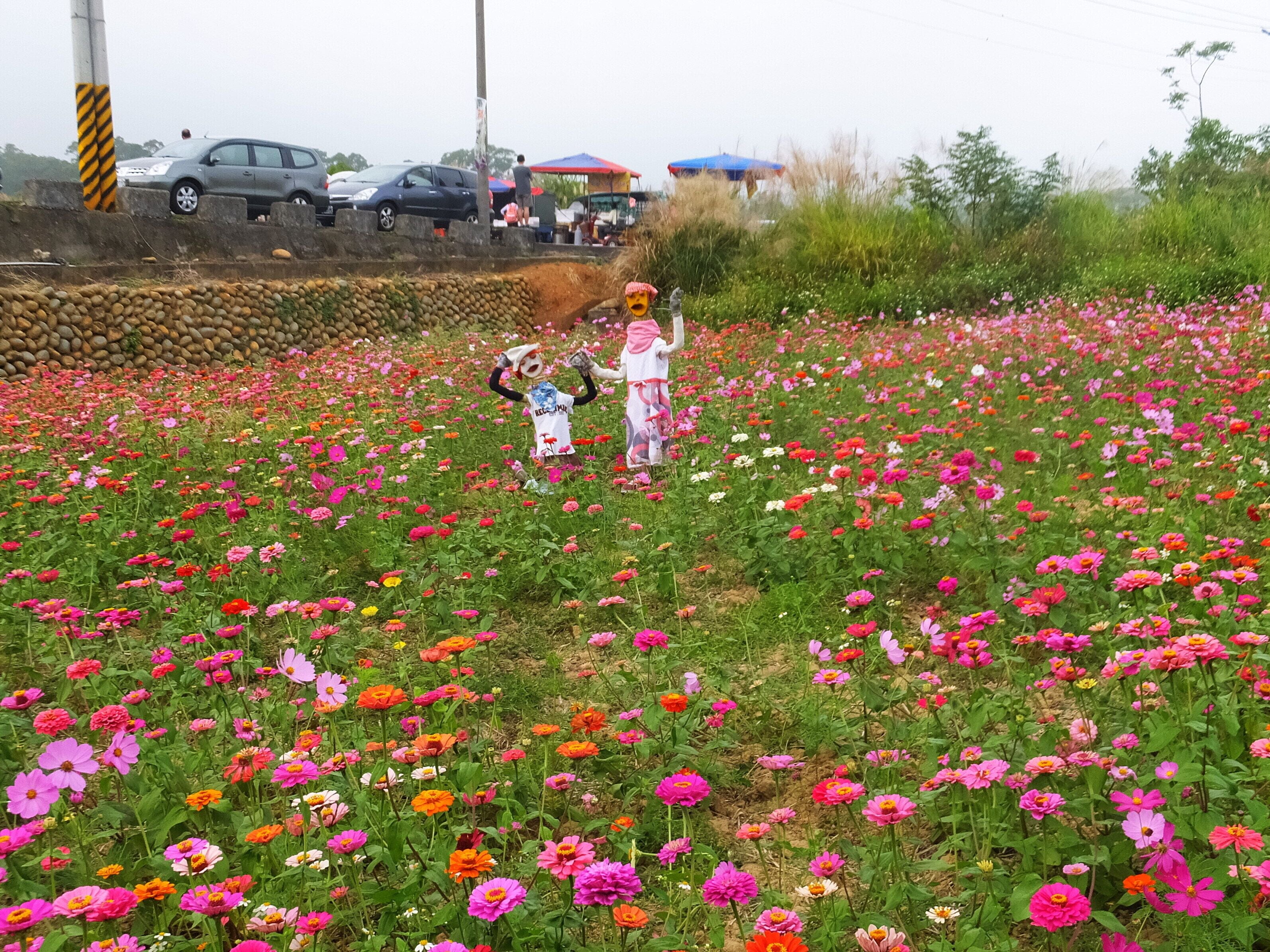 A field of colorful flowers with two people standing in the center.