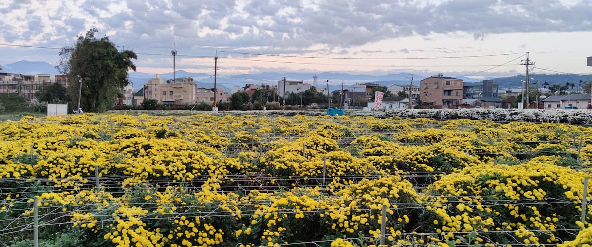 The Tongluo Hangju Life Festival, Miaoli County, Taiwan