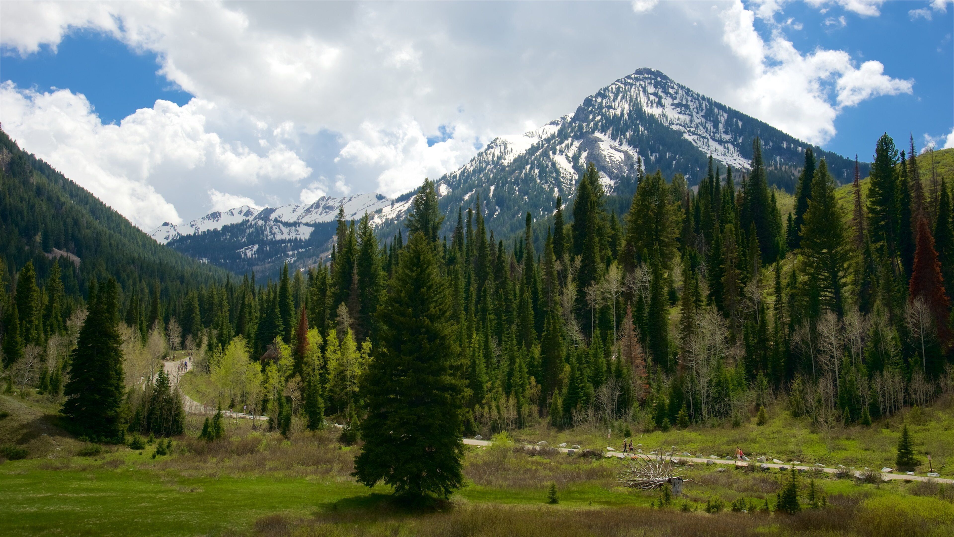 Salt Lake City que incluye escenas tranquilas y montañas
