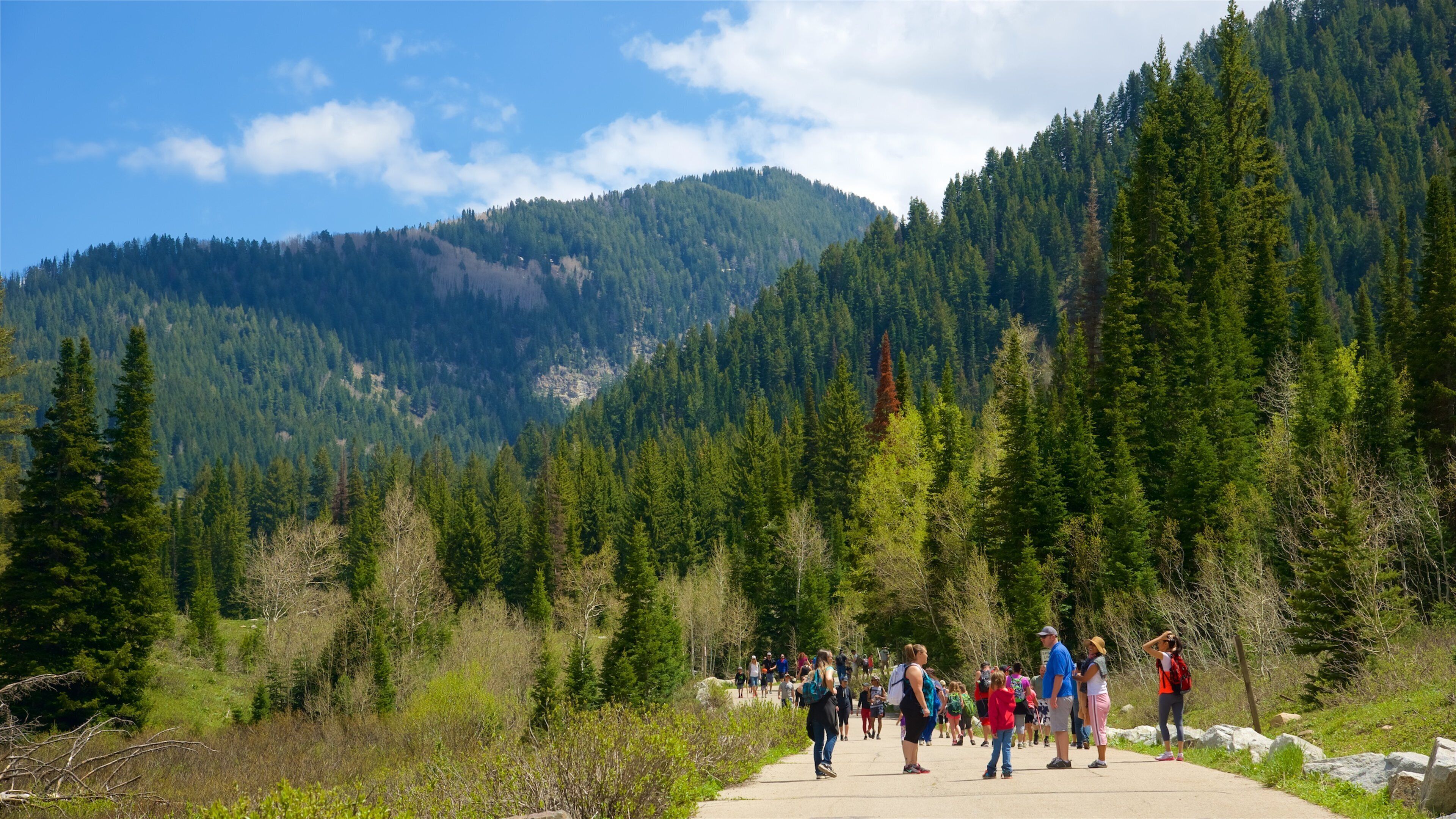 Big Cottonwood Canyon
