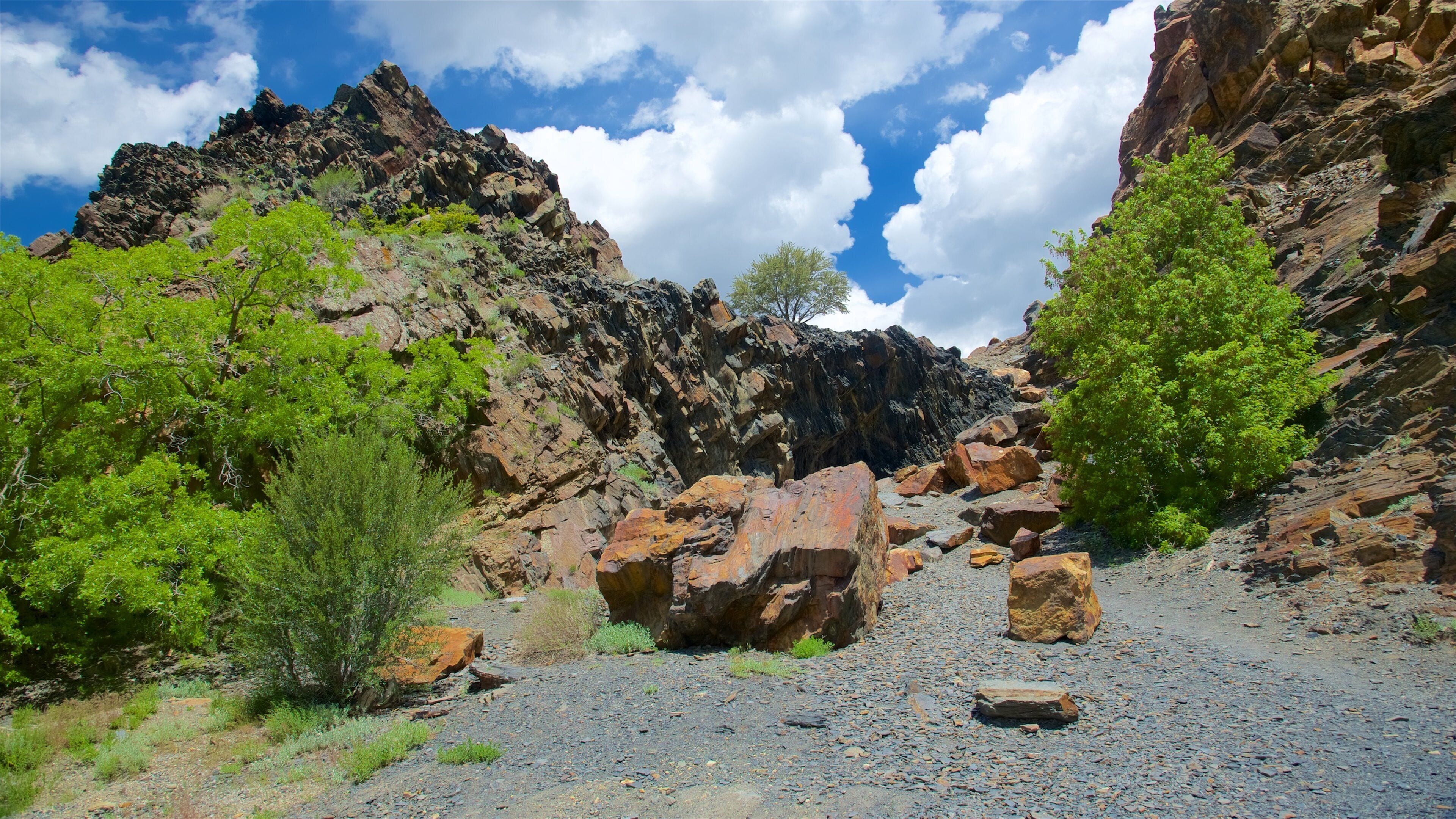 Salt Lake City featuring tranquil scenes