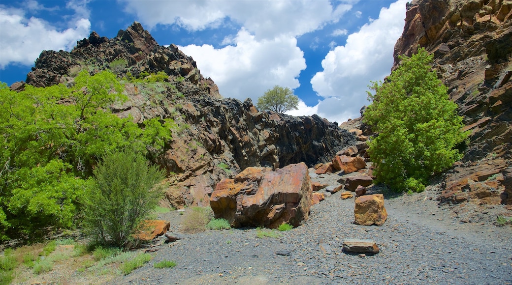 Salt Lake City featuring tranquil scenes