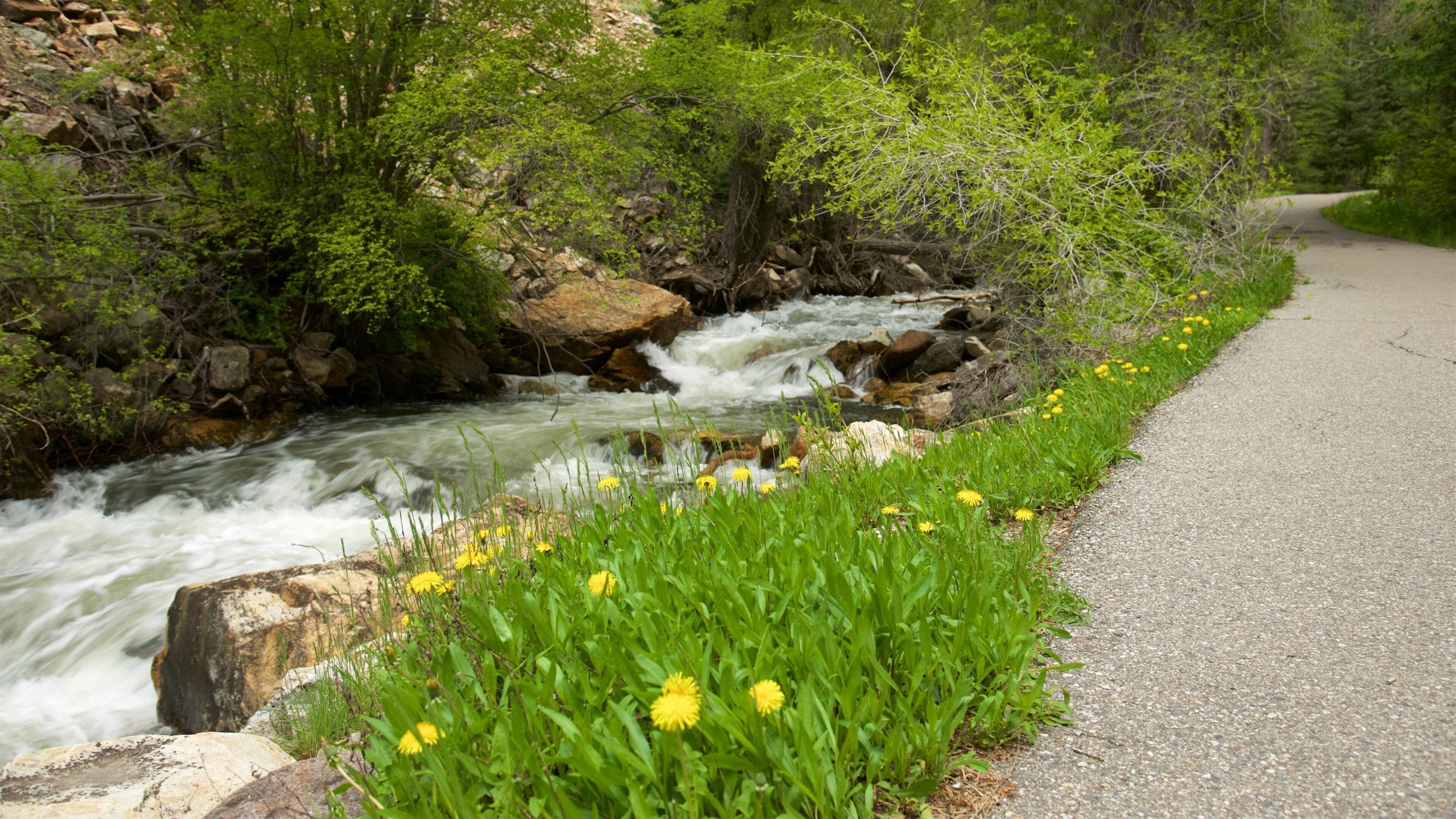 Big Cottonwood Canyon
