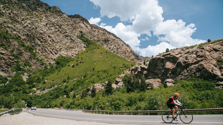 Big Cottonwood Canyon which includes tranquil scenes, mountains and cycling