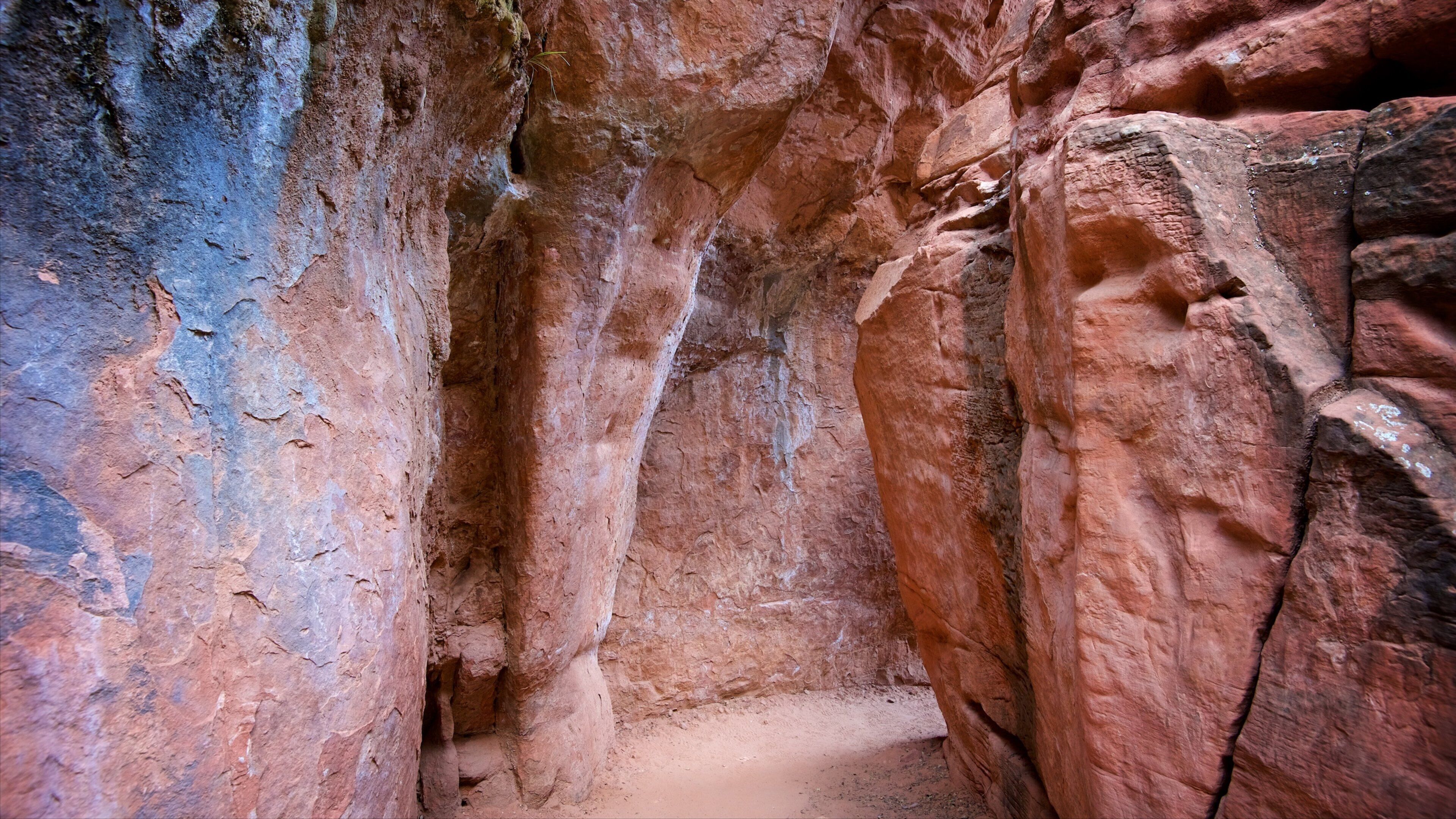 Kayenta Trail featuring hiking or walking and tranquil scenes