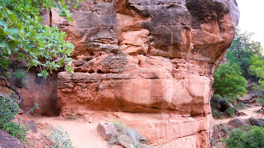 Zion National Park showing hiking or walking and tranquil scenes