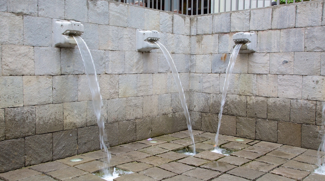 La Paz featuring a fountain