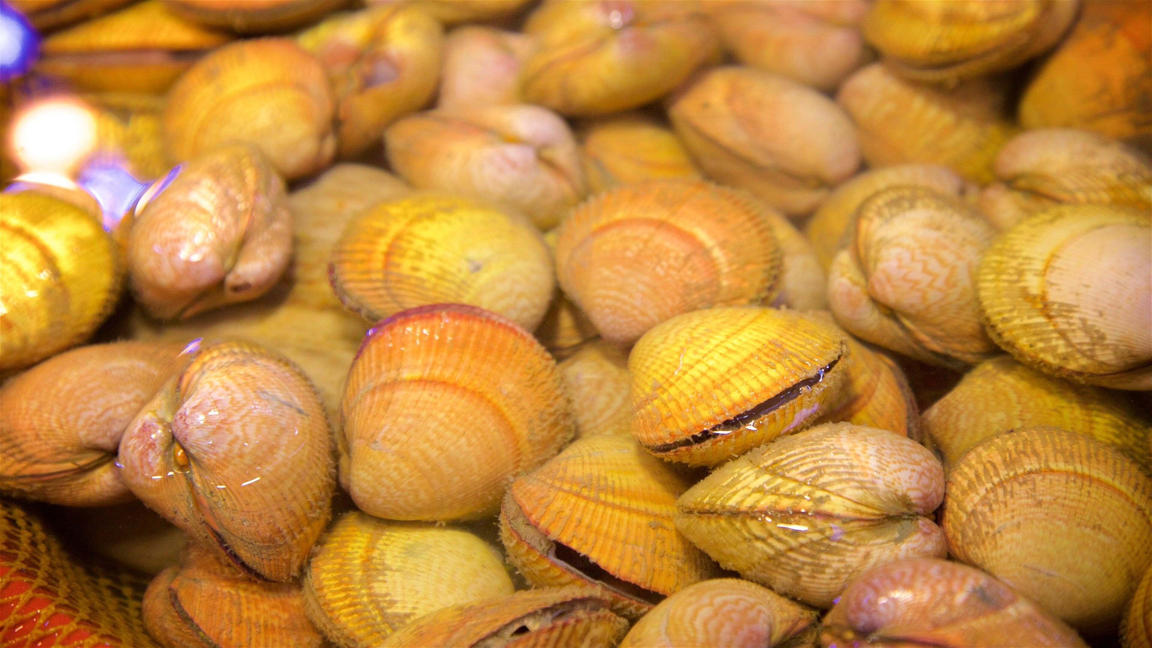 Incheon Complex Fish Market showing markets and food