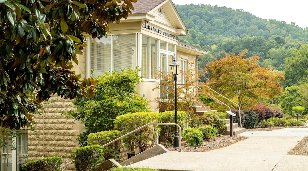 Toccoa Falls College