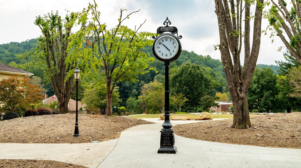 Toccoa Falls College