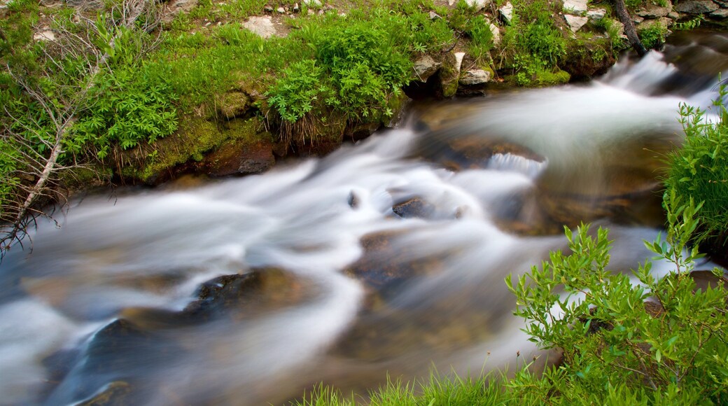 Kings Creek Meadow featuring a river or creek