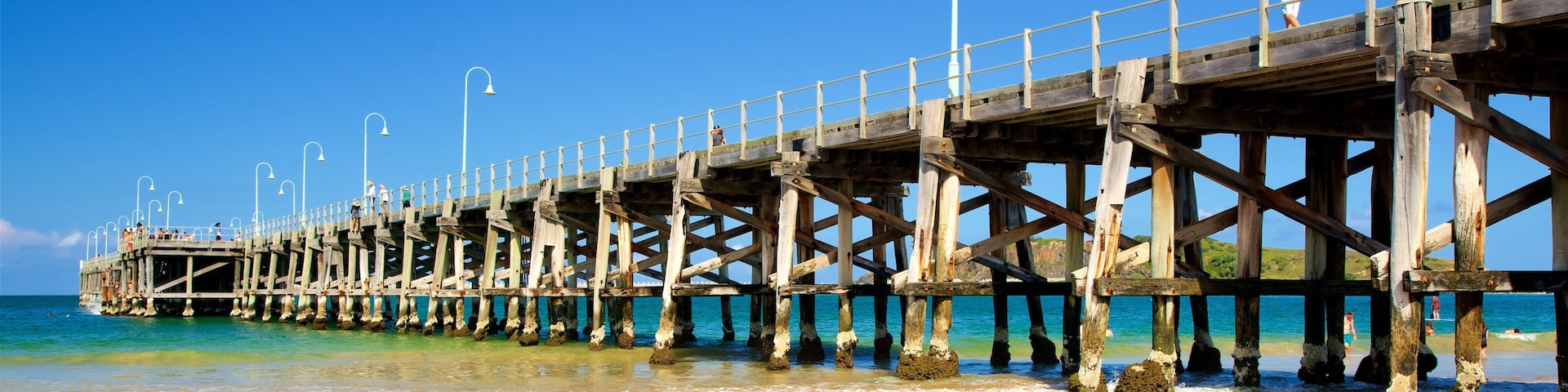 Jetty Beach which includes a sandy beach and a bay or harbor