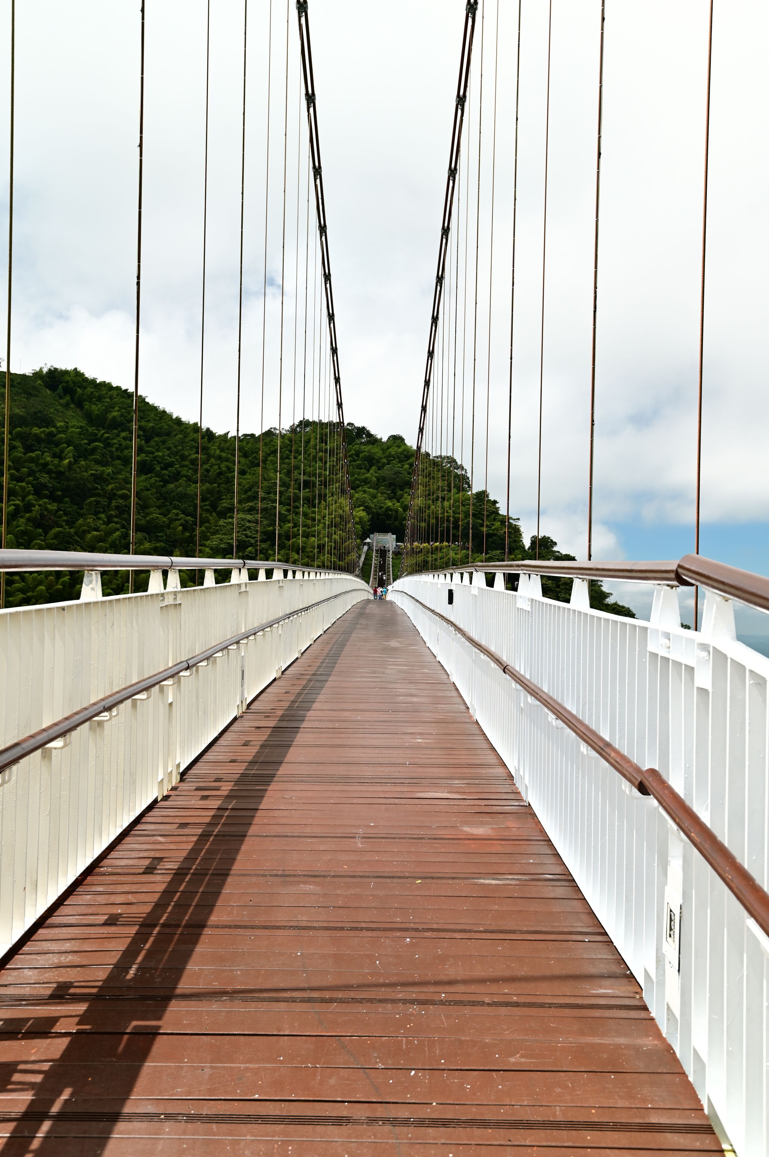 Taiping Suspension Bridge, Taiwan’s highest scenic bridge, stretches across a valley in Meishan Township, Chiayi. Visitors enjoy stunning views and fresh air, feeling immersed in nature.